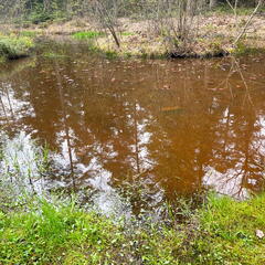 23-04-30 15-22-11 5252